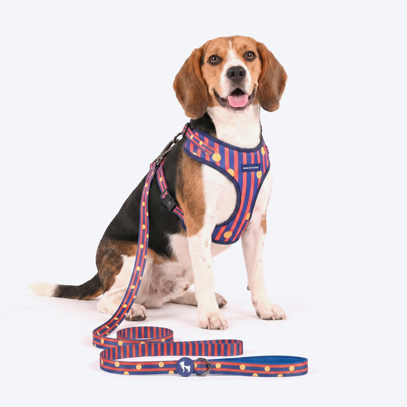 HUFT Playstripes Adjustable Harness For Dog - Rust & Navy