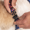 HUFT Playstripes Adjustable Harness For Dog - Rust & Navy