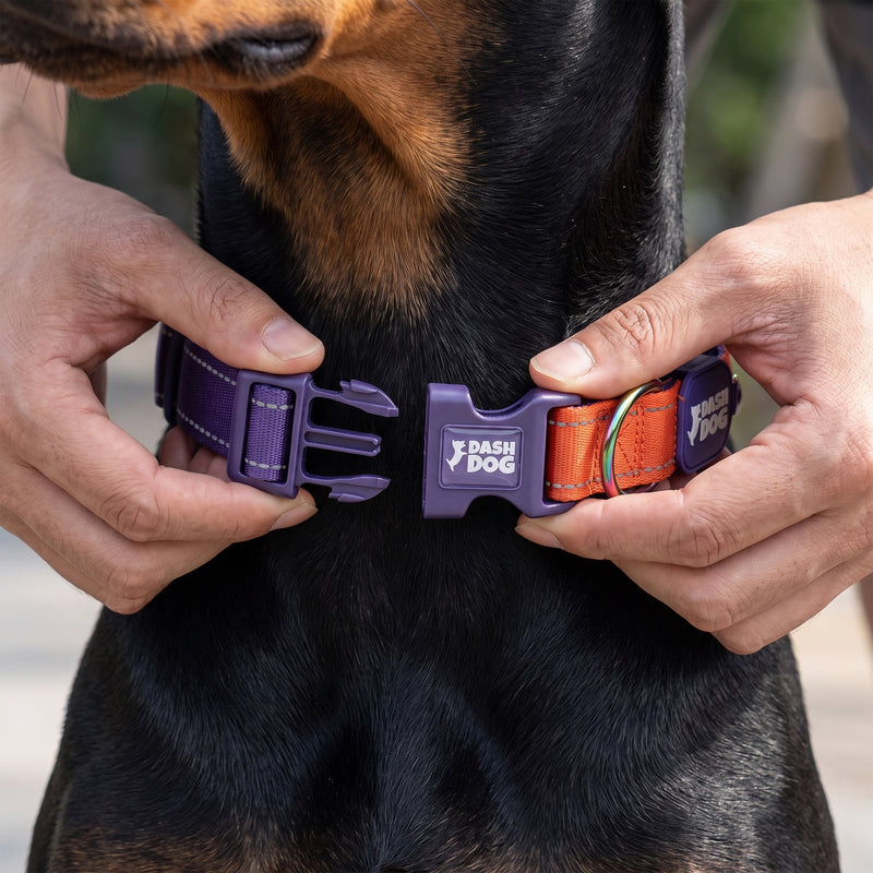 Dash Dog Padded Collar For Dog - Red & Purple