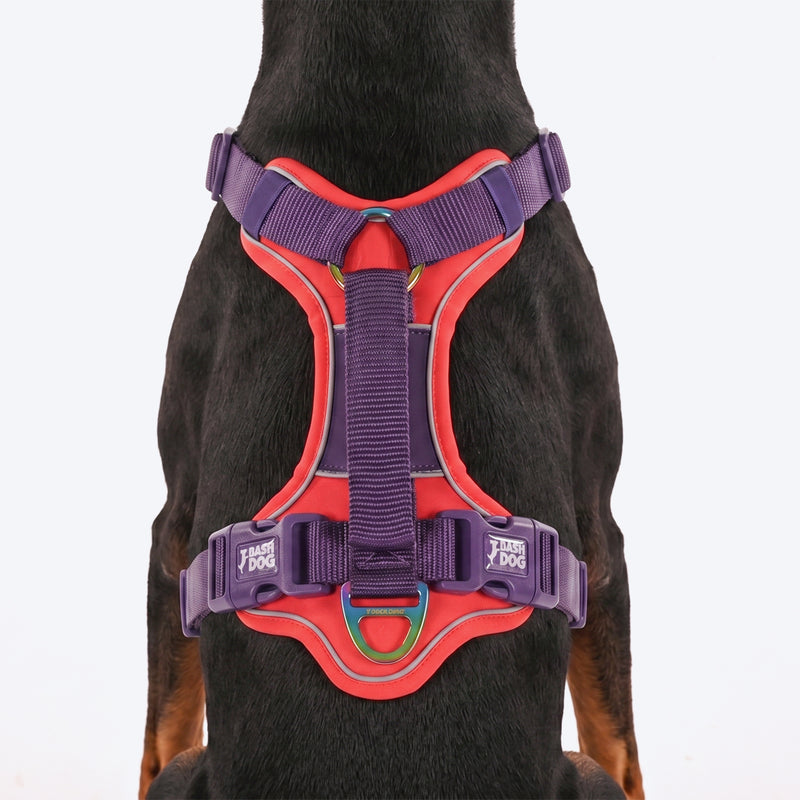 Dash Dog Walk Pro Harness For Dog - Red & Purple