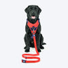 Dash Dog Trailmate Multipurpose Leash For Dog - Red