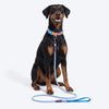 Dash Dog Zoom Easy Leash For Dog - Blue