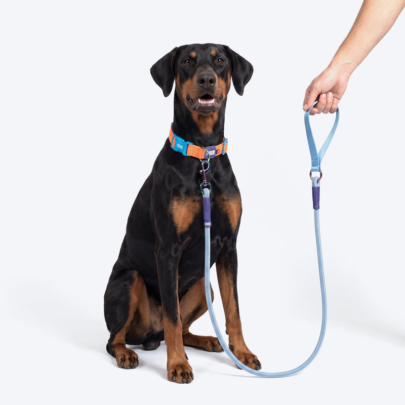 Dash Dog Zoom Easy Leash For Dog - Blue