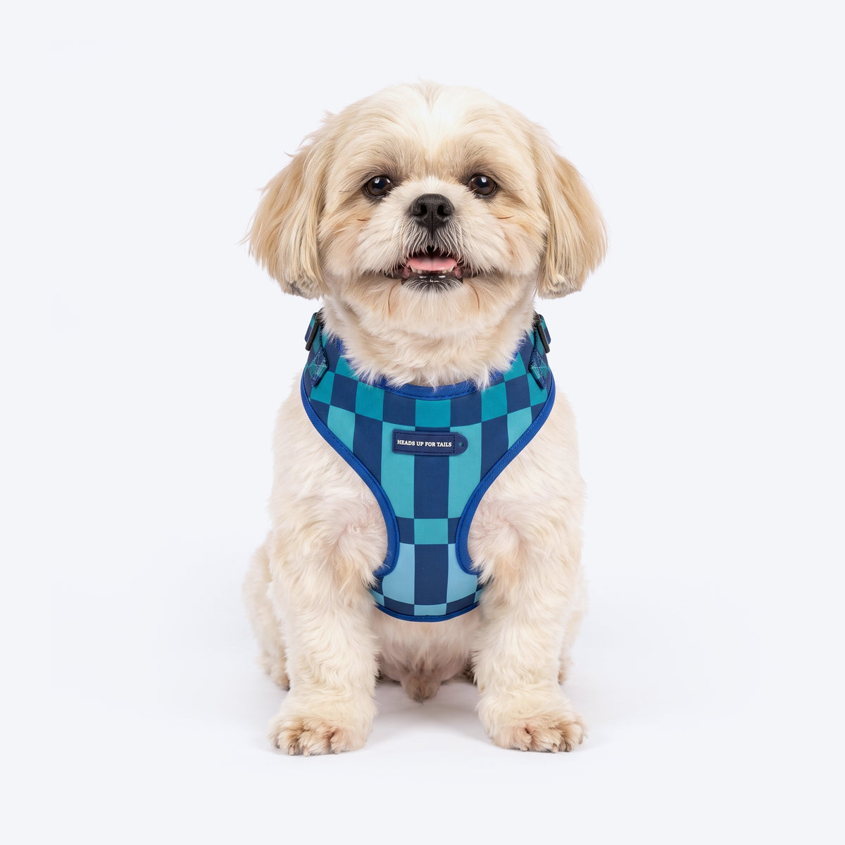 HUFT Frosted Checks Adjustable Harness For Dog - Blue