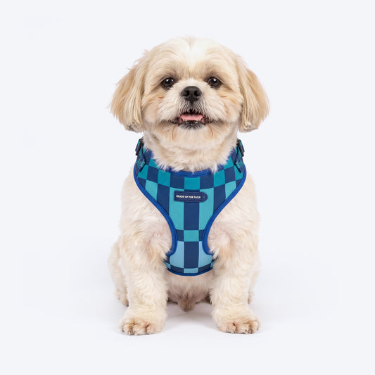 HUFT Frosted Checks Adjustable Harness For Dog - Blue