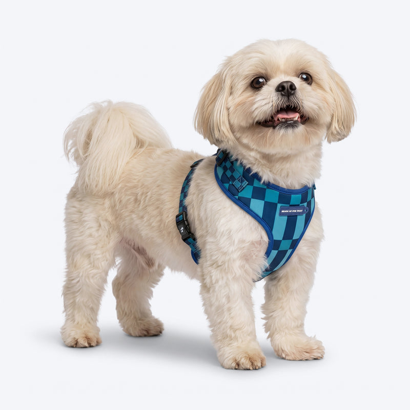 HUFT Frosted Checks Adjustable Harness For Dog - Blue
