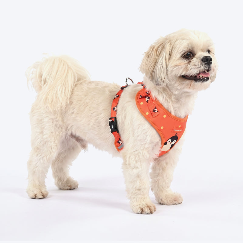 HUFT Peppy Penguin Adjustable Harness For Dog - Orange