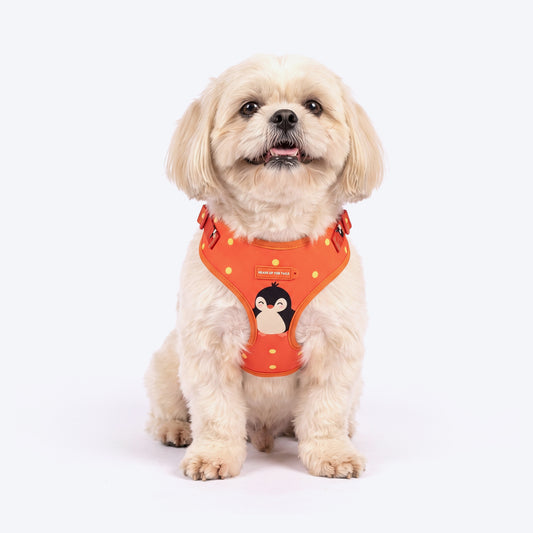 HUFT Peppy Penguin Adjustable Harness For Dog - Orange