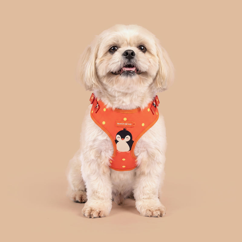 HUFT Peppy Penguin Adjustable Harness For Dog - Orange