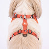 HUFT Peppy Penguin Adjustable Harness For Dog - Orange