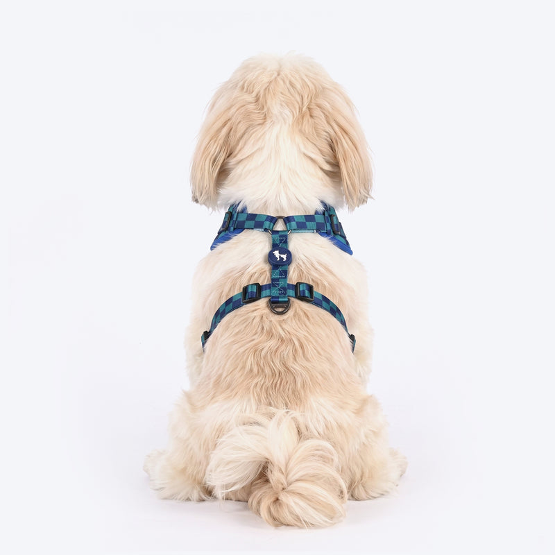 HUFT Frosted Checks Adjustable Harness For Dog - Blue