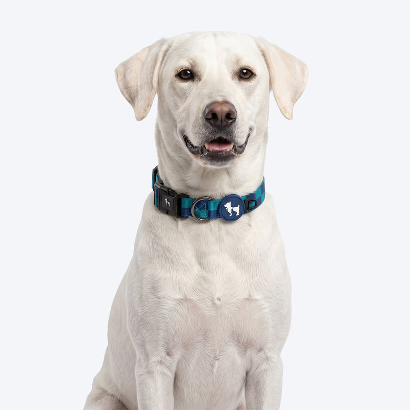 HUFT Frosted Checks Collar For Dog - Blue