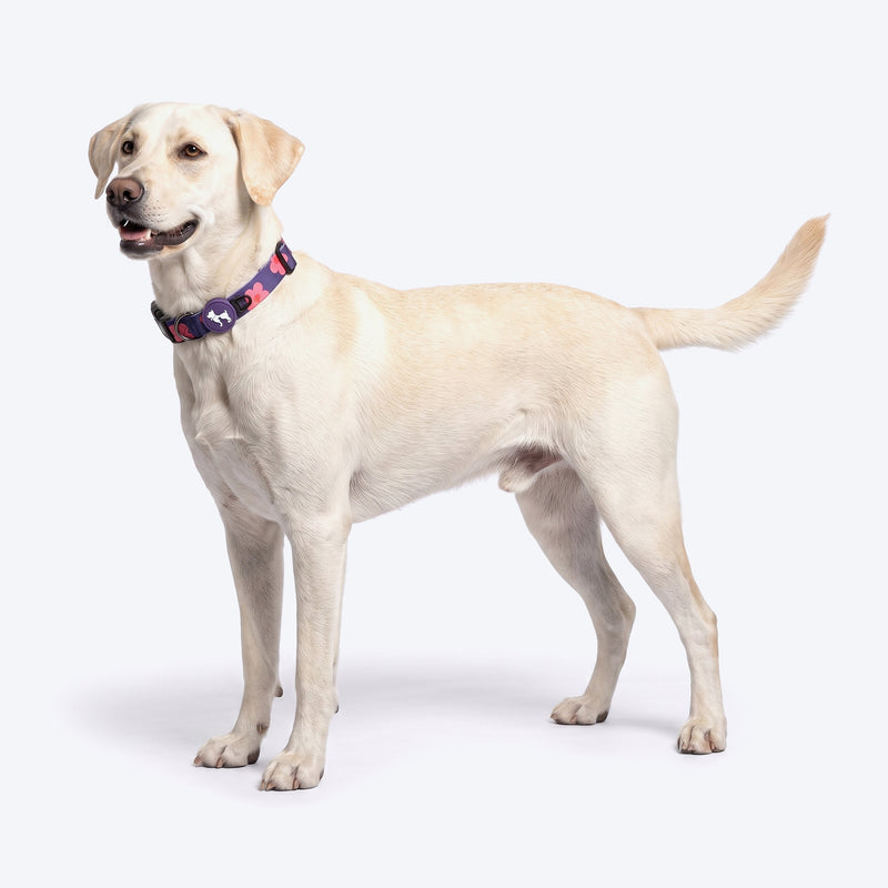HUFT Midnight Meadow Collar For Dog - Purple