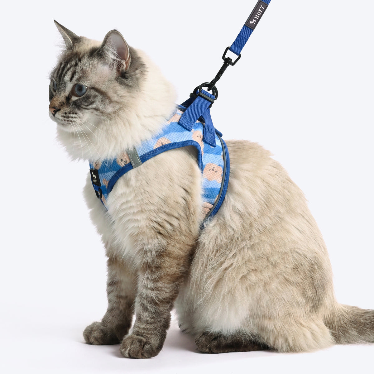 HUFT Easy Breezy Bear Hug Step-In Harness & Leash Set For Cat - Blue