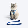 HUFT Easy Breezy Bear Hug Step-In Harness & Leash Set For Cat - Blue