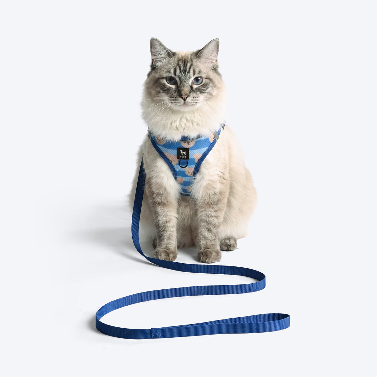 HUFT Easy Breezy Bear Hug Step-In Harness & Leash Set For Cat - Blue