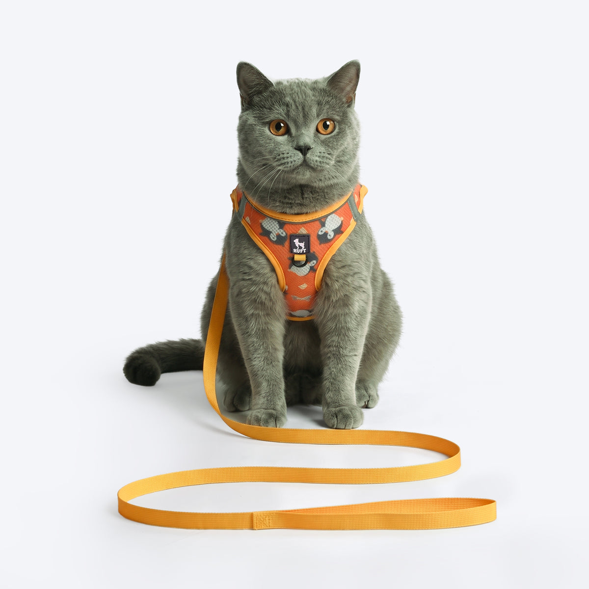 HUFT Easy Breezy Peppy Penguin Step-In Harness & Leash Set For Cat - Orange