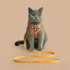 HUFT Easy Breezy Peppy Penguin Step-In Harness & Leash Set For Cat - Orange - Heads Up For Tails