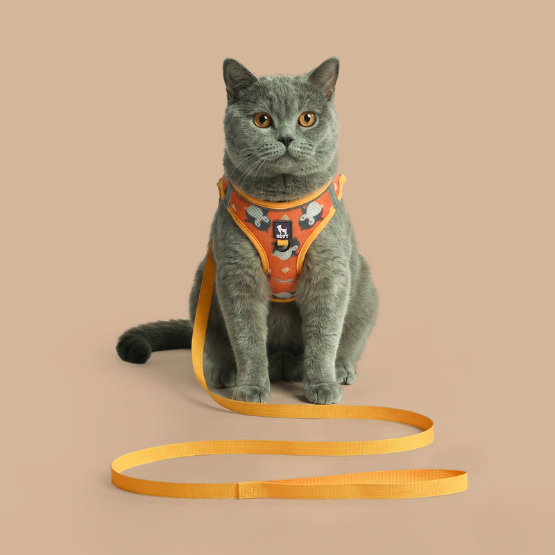 HUFT Easy Breezy Peppy Penguin Step-In Harness & Leash Set For Cat - Orange - Heads Up For Tails