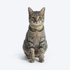 HUFT FeatherFit Adjustable Harness & Leash Set For Cat - Green