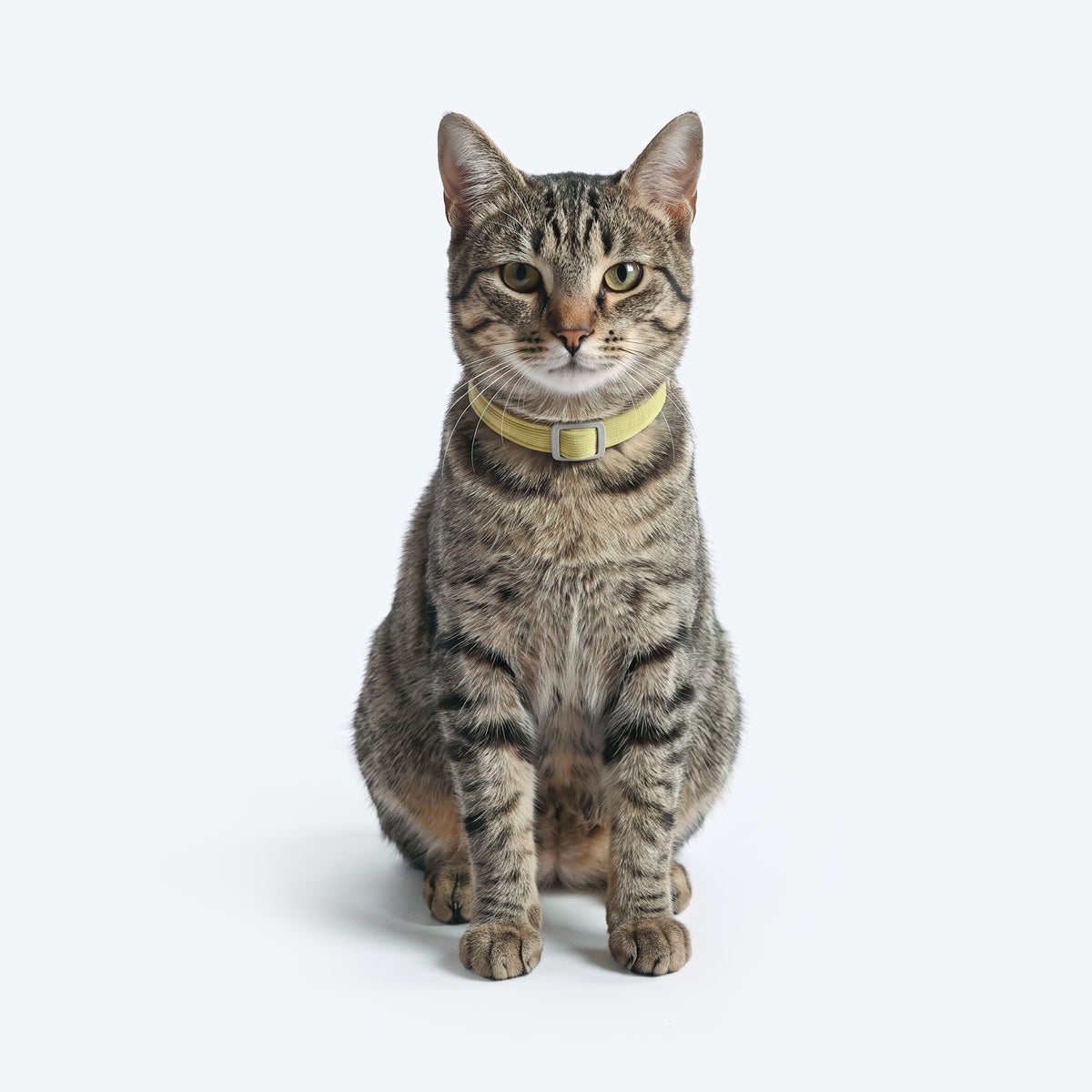 HUFT FeatherFit Adjustable Harness & Leash Set For Cat - Green