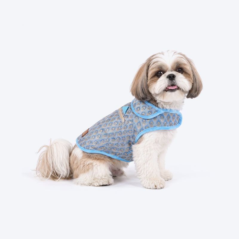 HUFT Regal Bloom Sherwani For Dog - Blue