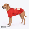 HUFT Cloudy Bear T-Shirt For Dog - Red - Heads Up For Tails