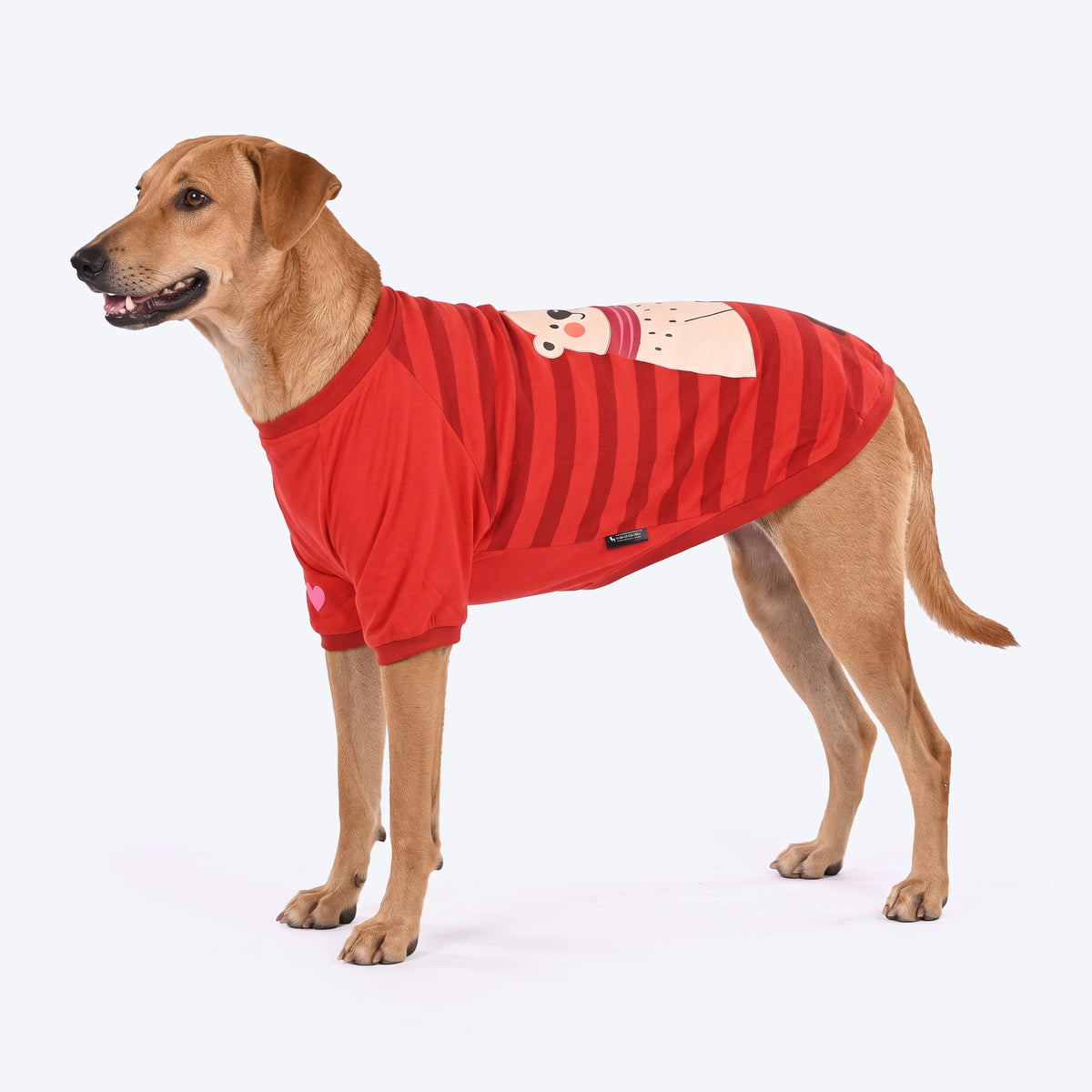 HUFT Cloudy Bear T-Shirt For Dog - Red