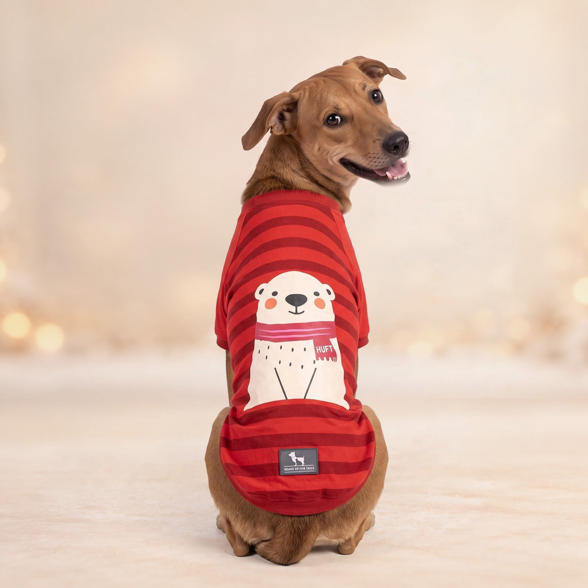 HUFT Cloudy Bear T-Shirt For Dog - Red - Heads Up For Tails