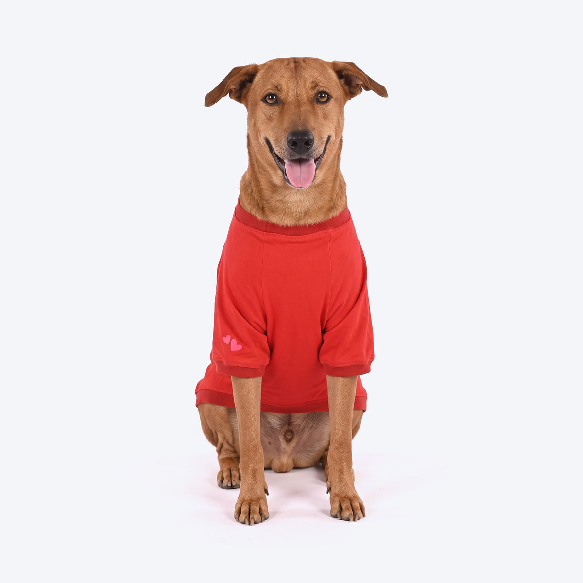 HUFT Cloudy Bear T-Shirt For Dog - Red