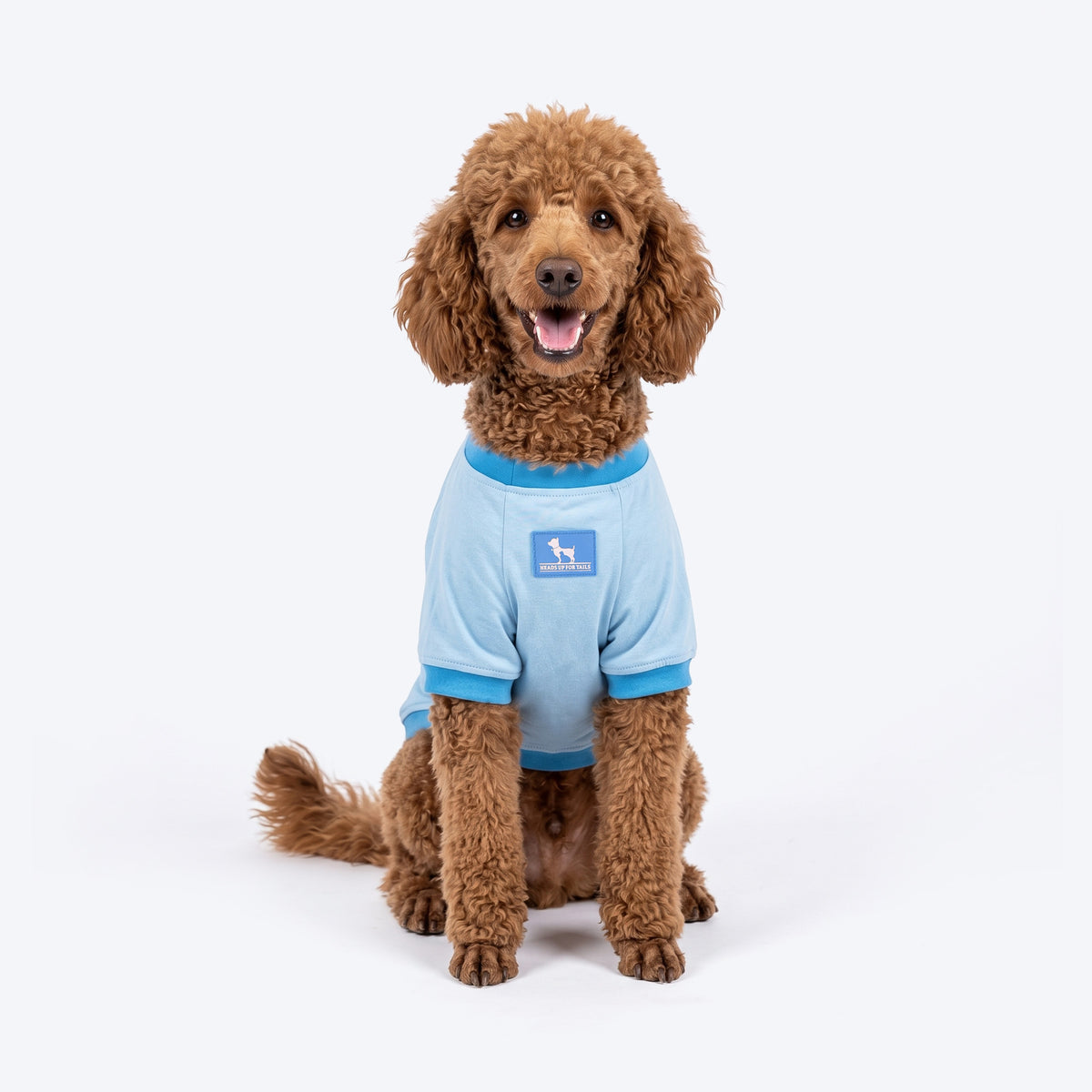 HUFT Peppy Penguin T-Shirt For Dog - Light Blue
