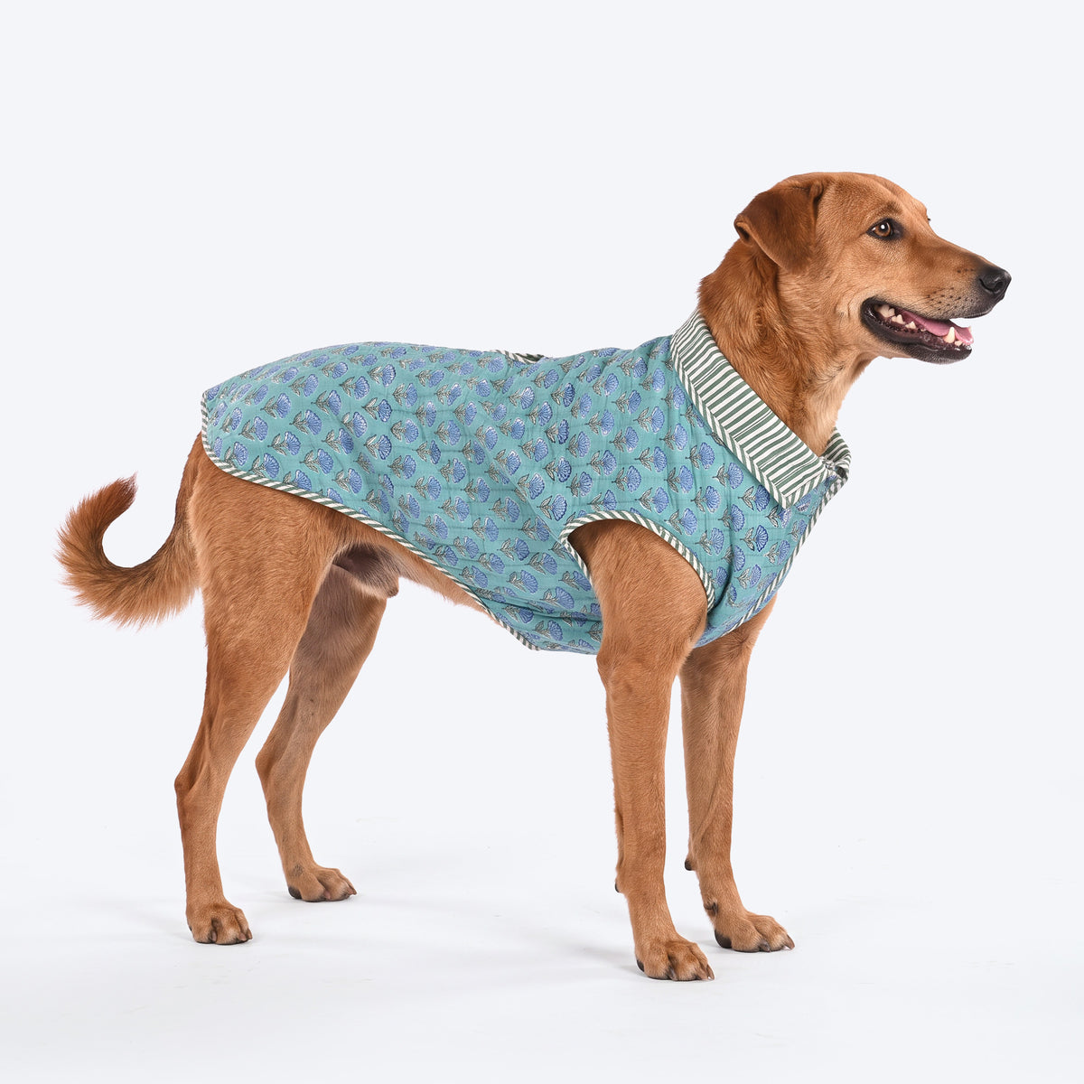 HUFT Jaipuri Gul Block-Printed Jacket For Dog - Turquoise & Green