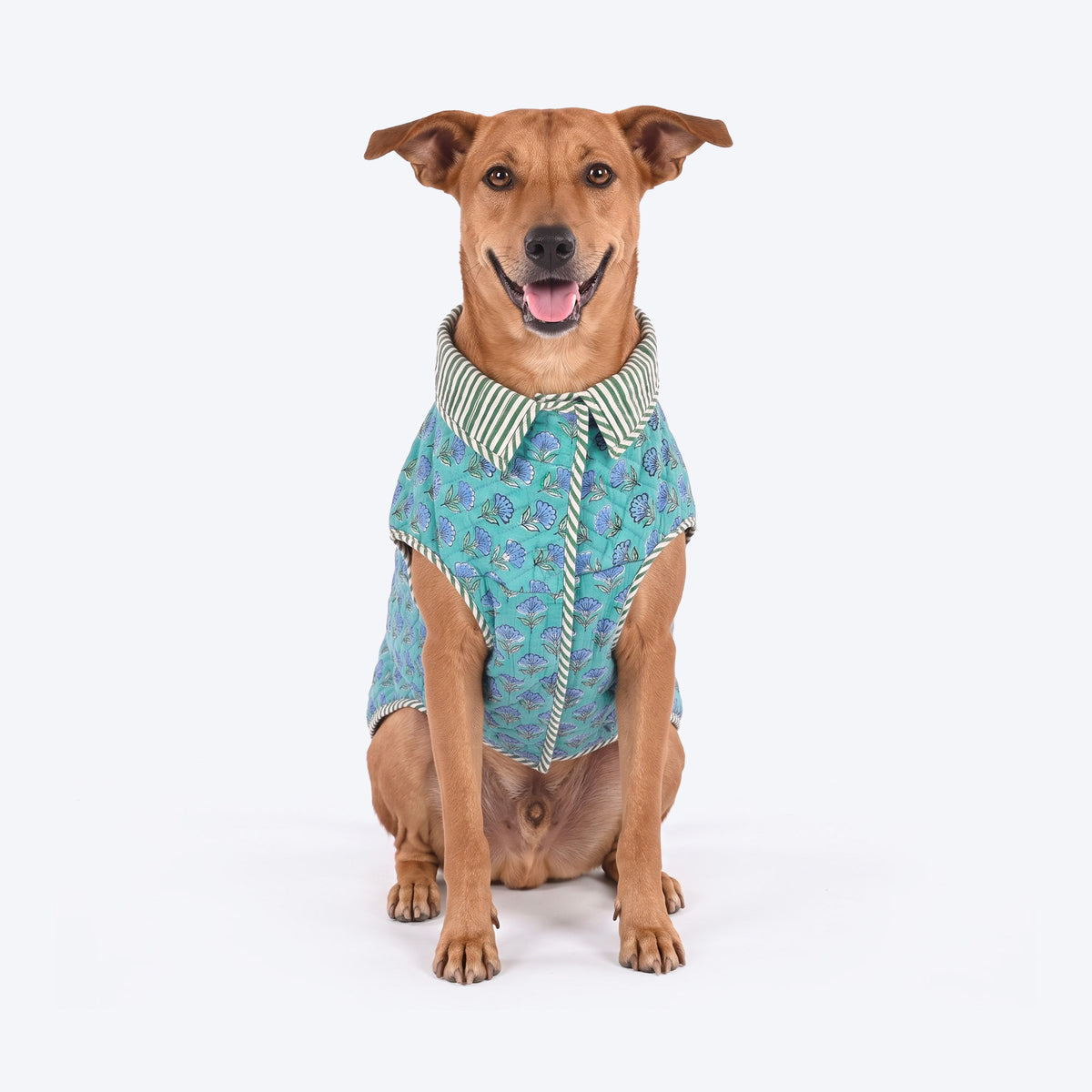 HUFT Jaipuri Gul Block-Printed Jacket For Dog - Turquoise & Green