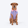 HUFT Jaipuri Phool Block-Printed Jacket For Dog - Blue & Pink