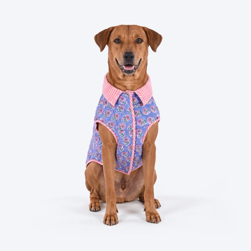 HUFT Jaipuri Phool Block-Printed Jacket For Dog - Blue & Pink