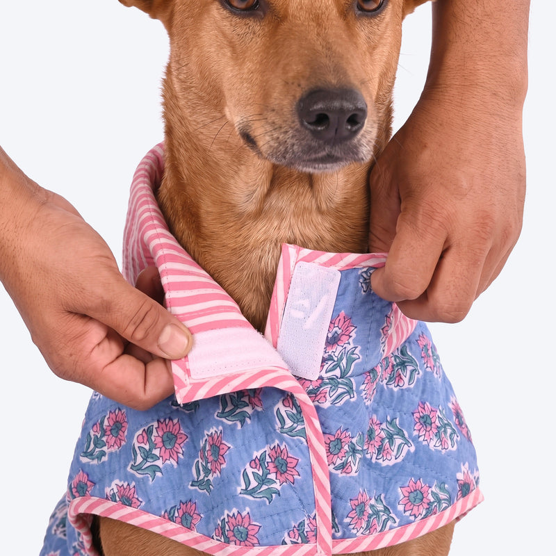 HUFT Jaipuri Phool Block-Printed Jacket For Dog - Blue & Pink