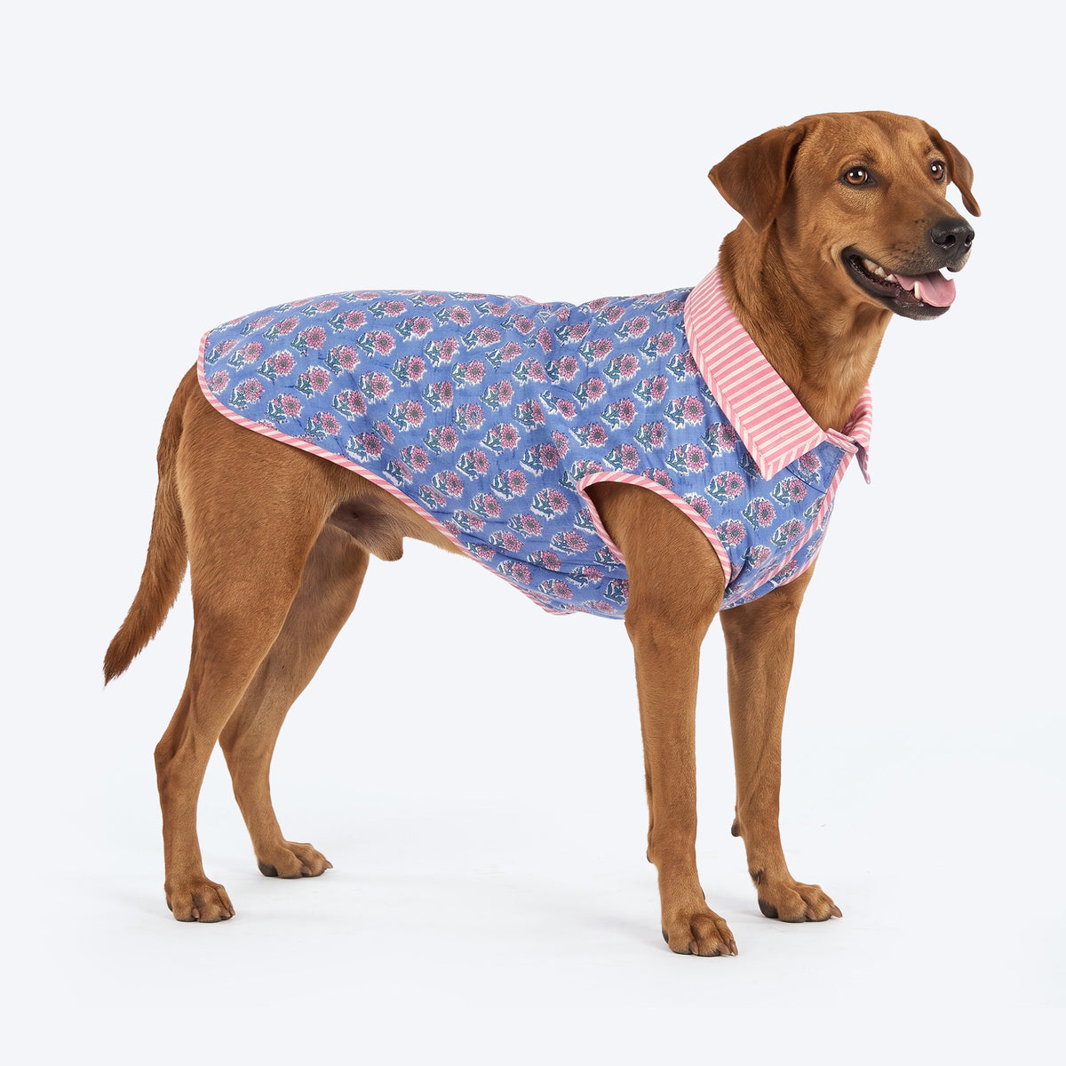 HUFT Jaipuri Phool Block-Printed Jacket For Dog - Blue & Pink