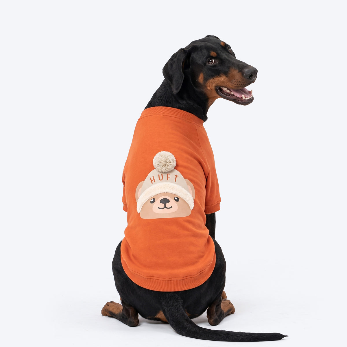 HUFT Pumpkin Bear Sweatshirt For Dog - Orange