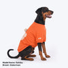 HUFT Pumpkin Bear Sweatshirt For Dog - Orange - Heads Up For Tails