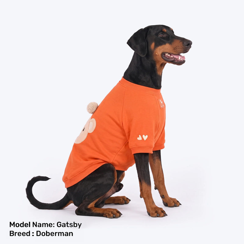 HUFT Pumpkin Bear Sweatshirt For Dog - Orange - Heads Up For Tails