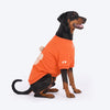 HUFT Pumpkin Bear Sweatshirt For Dog - Orange