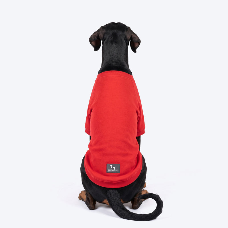 HUFT Koko Koala Sweatshirt For Dog - Red