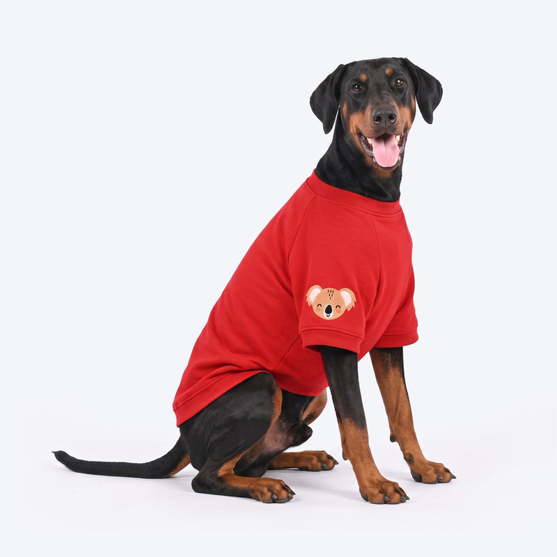 HUFT Koko Koala Sweatshirt For Dog - Red