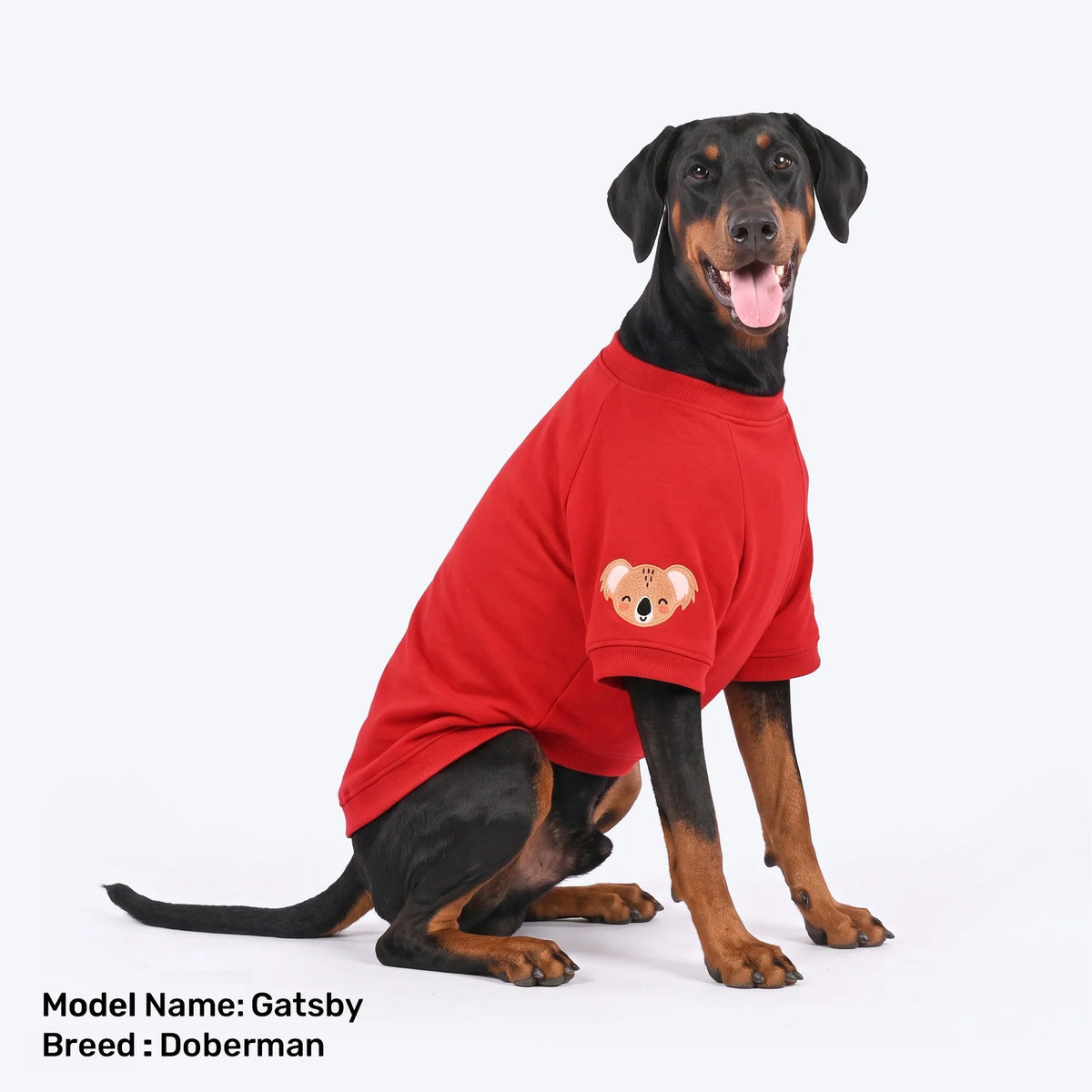 HUFT Koko Koala Sweatshirt For Dog - Red - Heads Up For Tails