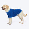 HUFT Pocket Buddy Sweatshirt For Dog - Blue