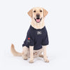 HUFT Lovebug Bear Sweatshirt For Dog - Navy