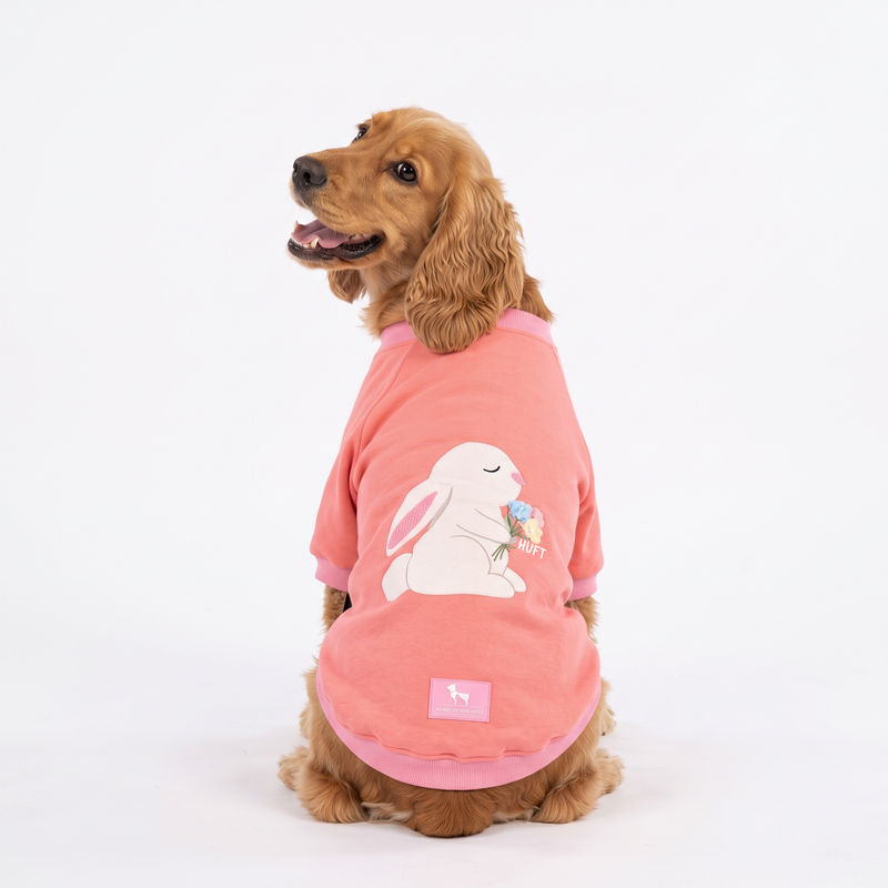 HUFT Fluffy Bunny Sweatshirt For Dog - Pink
