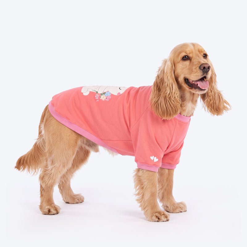 HUFT Fluffy Bunny Sweatshirt For Dog - Pink
