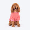 HUFT Fluffy Bunny Sweatshirt For Dog - Pink