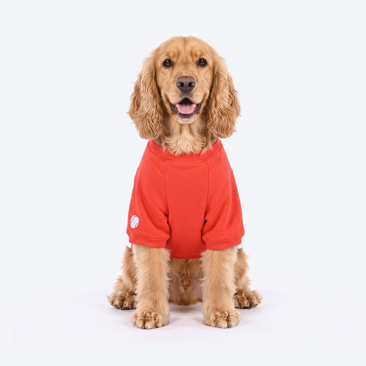 HUFT Bestie Snuggle Sweatshirt For Dog - Red